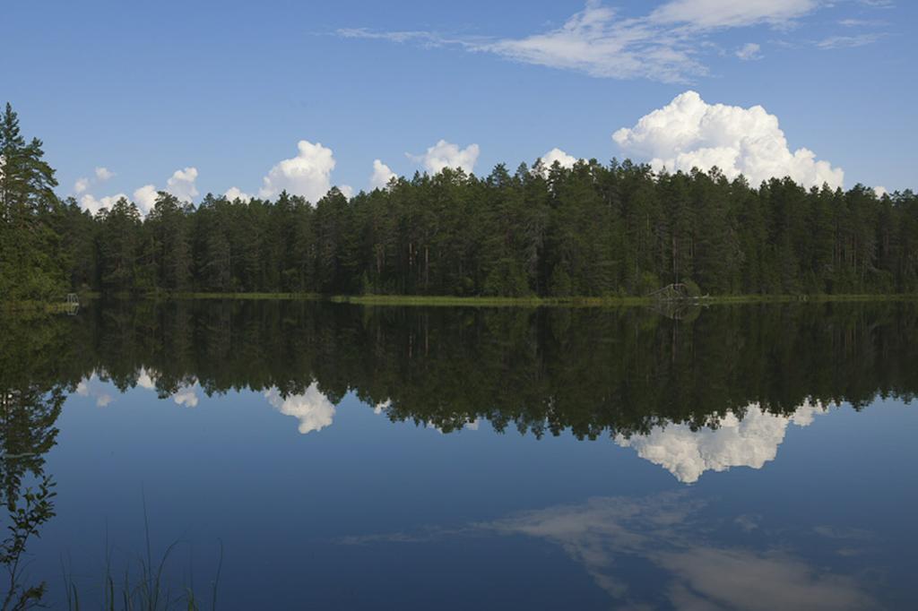 Manamansalo Camping Kültér fotó